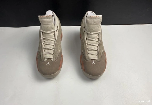 14 Jordan DC9857-200 Low Blush DC9857-200 AIR Retro Terra Clot 0323